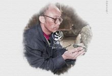 化腐朽为神奇的菊花石巧雕绝技-菊花石艺术品