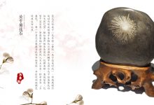 赏石文化 士大夫们的趣雅生活-菊花石艺术品