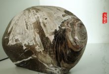 石画同源:菊花石雕的意境营造-菊花石艺术品