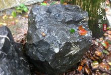 石质艺术品与山水园林景观-菊花石艺术品