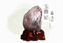 哪些因素促使彩色菊花石备受收藏者青睐-菊花石艺术品