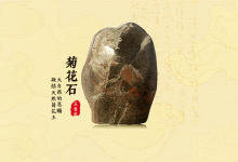 菊石高雅浸润人心-菊花石艺术品