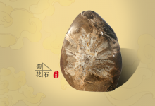 解读菊花石 品悟人生-菊花石艺术品