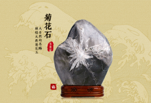 由菊花石见真善美-菊花石艺术品