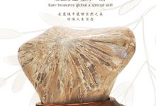 石中名媛：彩色菊花石-菊花石艺术品