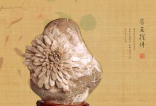 坚持是成为优秀菊花石雕师的第一步-菊花石艺术品