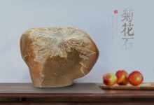收藏菊花石应注重原石的品质-菊花石艺术品