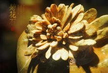 精美绝伦的天然菊花石-菊花石艺术品