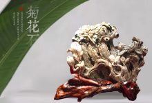 彩色菊花石的成型之谜-菊花石艺术品
