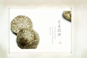 高雅的文玩石——菊花石