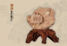 收藏菊花石不忘初心-菊花石艺术品