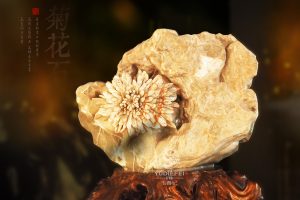 菊花石摆件的魅力：山无石不奇，室无石不雅