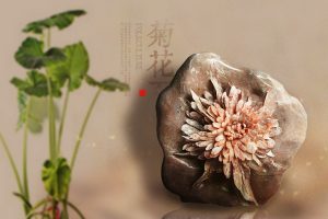 菊花石之美，贵在天然