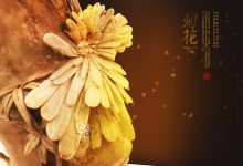 菊花石的魅力何在?-菊花石艺术品
