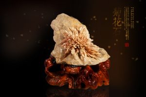 菊花石的美，带给我们怎样的感受？