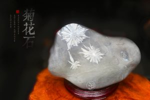 最美浏阳菊花石