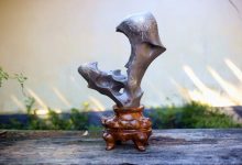 再美的院子，也少不了菊花石！-菊花石艺术品