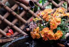 山林田园，理想生活-菊花石艺术品